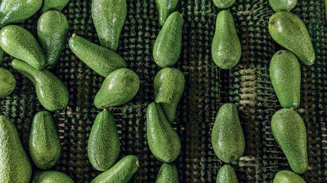 αβοκάντο-το-φρούτο-που-άλλαξε-το-τοπίο-563929105