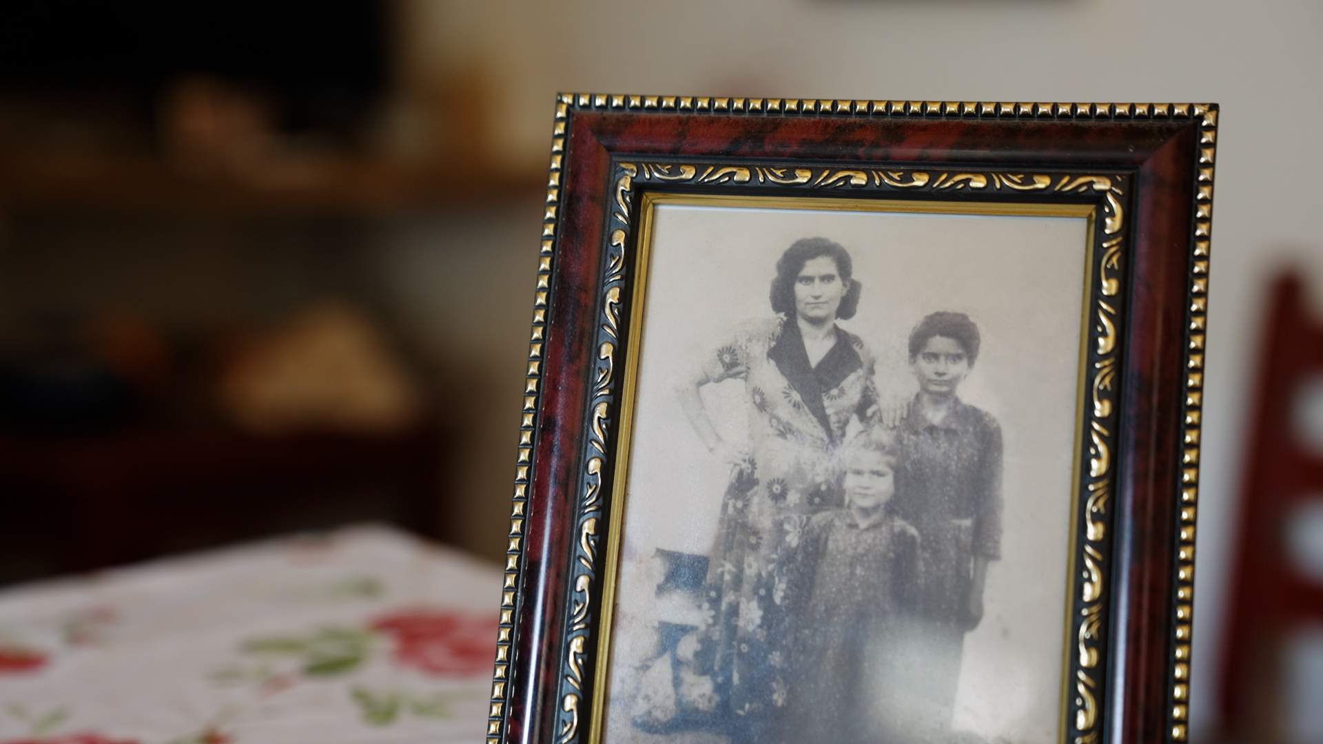 «Στα Βορίζια έχασα μάνα και αδελφό. Δεν με κυρίευσε το μίσος»-1