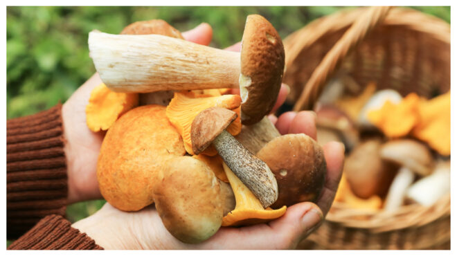 εκτός-κινδύνου-το-ζευγάρι-που-έφαγε-δη-563947132