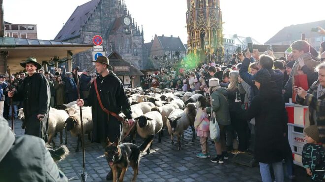 η-νυρεμβέργη-γέμισε-ξανά-πρόβατα-563924668