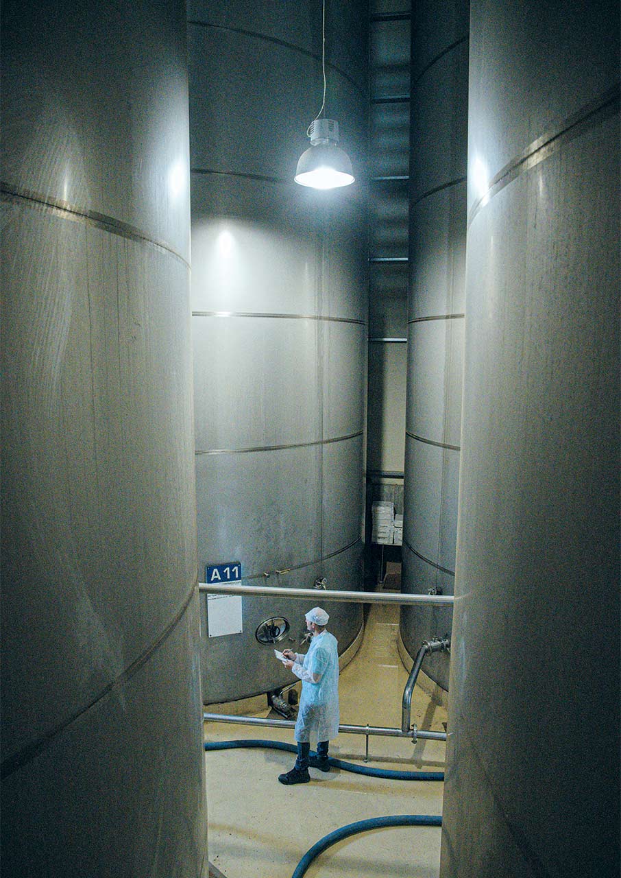 Κολυμβάρι: Η αναγέννηση του κρητικού ελαιώνα-6