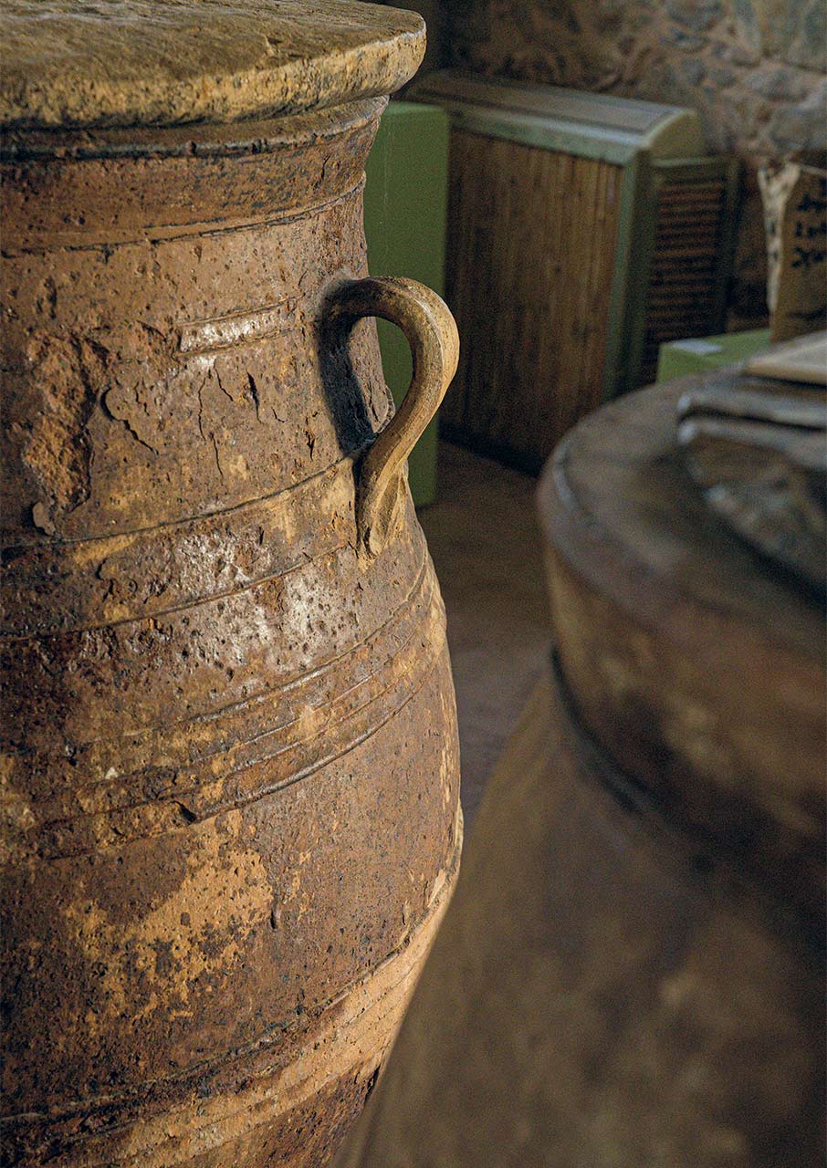 Κολυμβάρι: Η αναγέννηση του κρητικού ελαιώνα-8