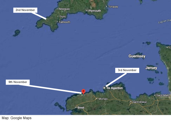 Το φλαμίγκο που κέρδισε την ελευθερία του – Παρά τα ψαλιδισμένα φτερά του, το ’σκασε από ζωολογικό κήπο-1