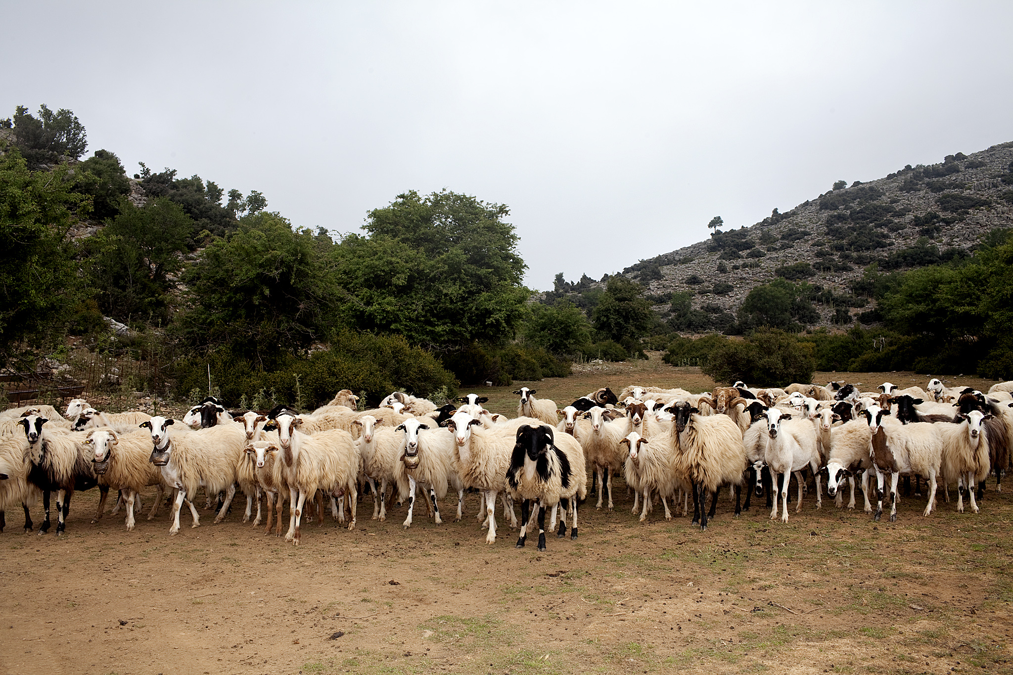 Το κοπέλι με το πιστόλι κάτω από το μαξιλάρι-7