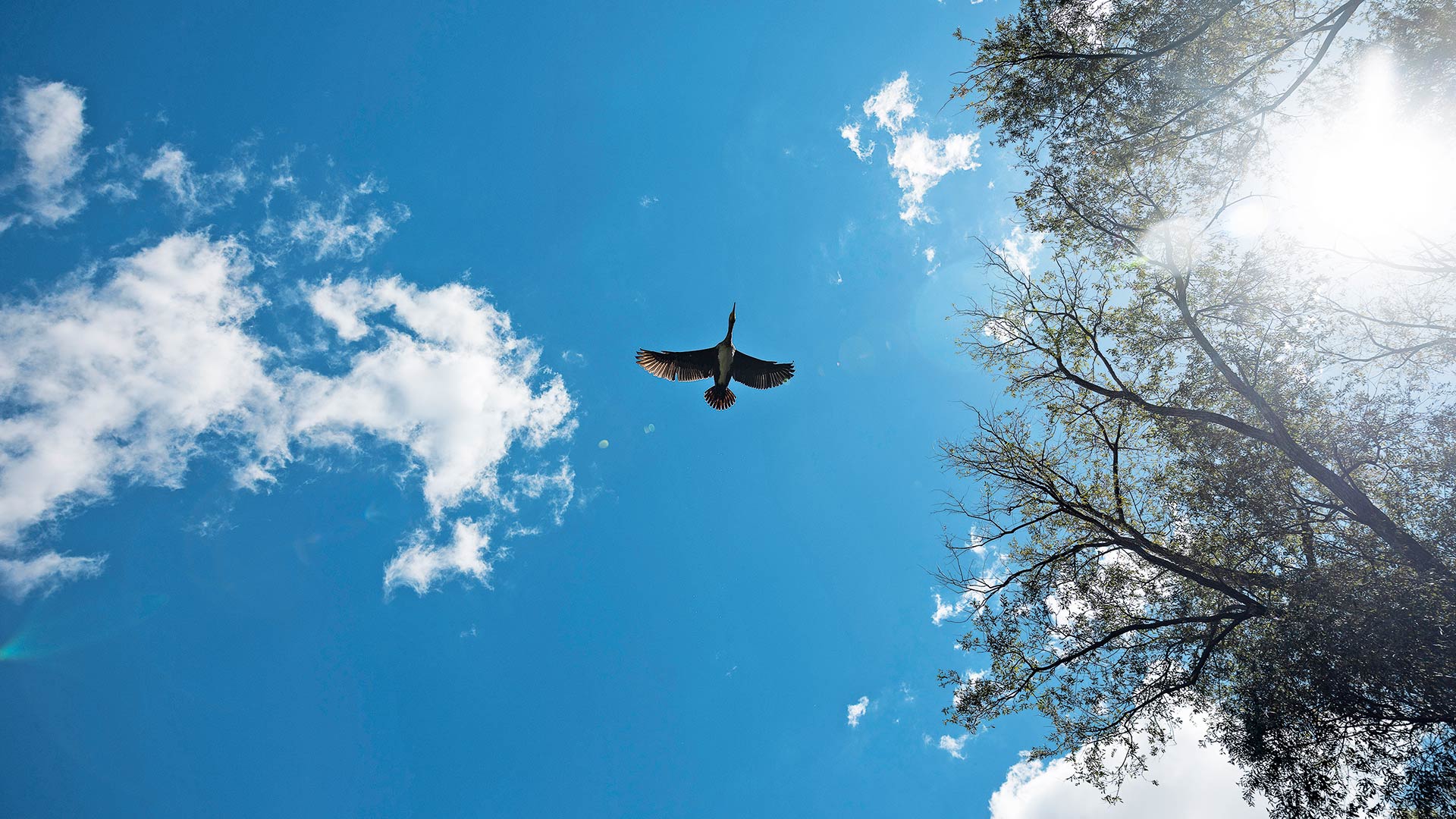 Νέστος, ο ζωντανός ποταμός της Θράκης-2
