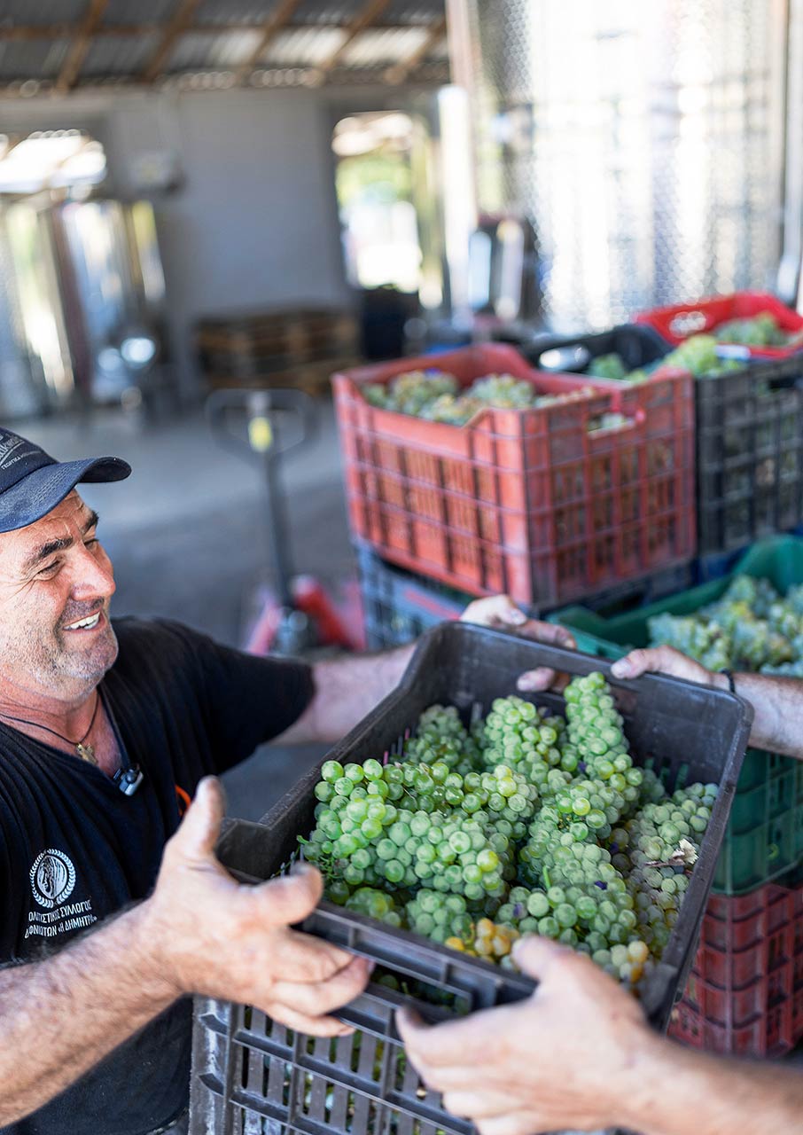 Νέστος, ο ζωντανός ποταμός της Θράκης-7