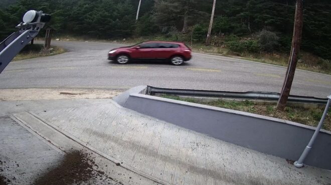 δολοφονία-λάλα-φωτογραφίες-ντοκουμέ-563929519