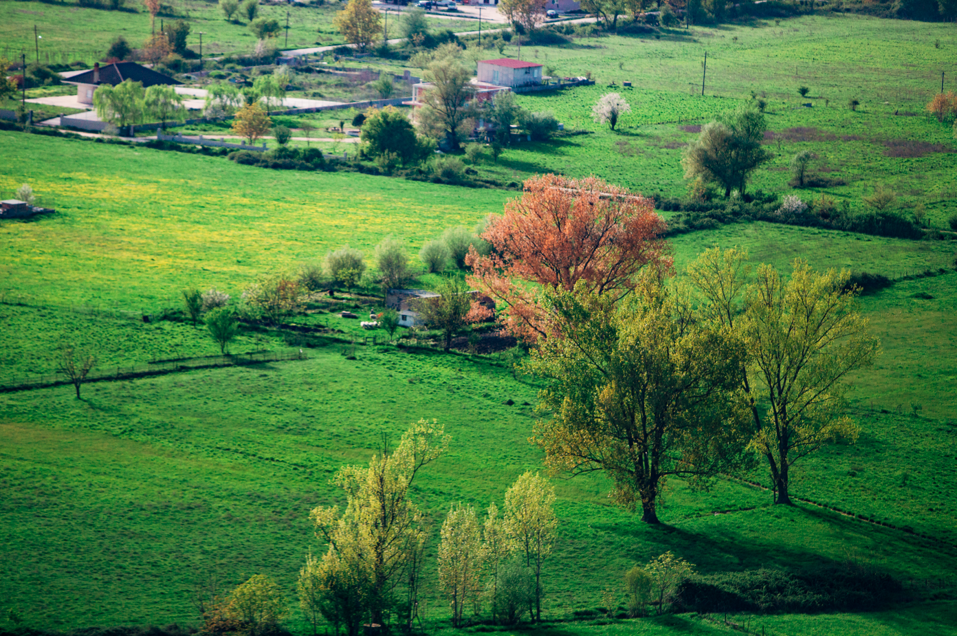 ΔΩΔΩΝΗ: η γεύση που μας μεγάλωσε κάνει πράξη τη βιωσιμότητα-1