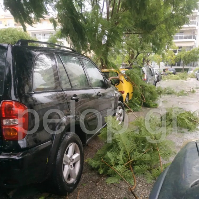 Πάτρα: Ανεμοθύελλα προκάλεσε πτώσεις μεγάλων δέντρων και ζημιές σε αυτοκίνητα-1