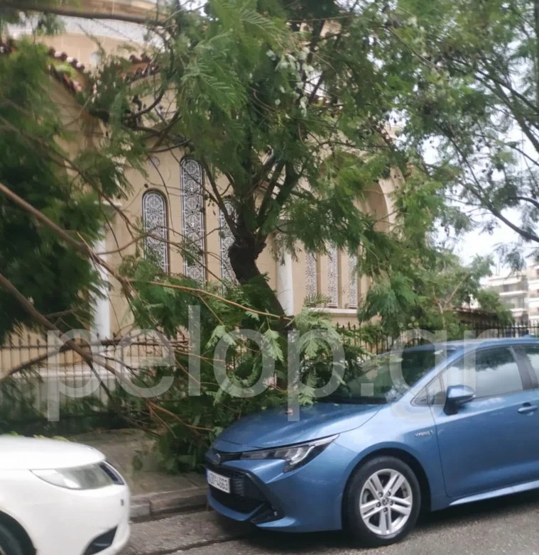 Πάτρα: Ανεμοθύελλα προκάλεσε πτώσεις μεγάλων δέντρων και ζημιές σε αυτοκίνητα-2