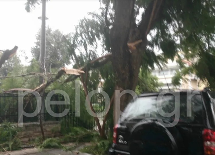 Πάτρα: Ανεμοθύελλα προκάλεσε πτώσεις μεγάλων δέντρων και ζημιές σε αυτοκίνητα-3