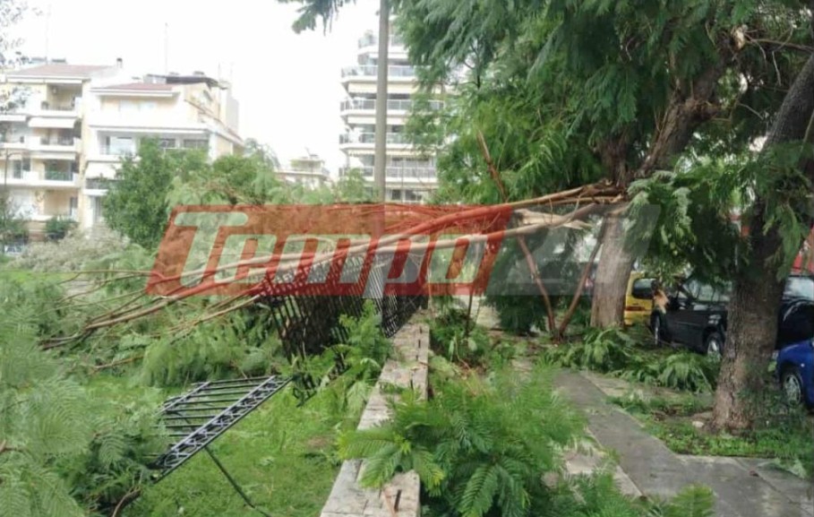 Πάτρα: Ανεμοθύελλα προκάλεσε πτώσεις μεγάλων δέντρων και ζημιές σε αυτοκίνητα-4