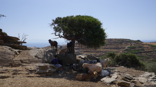 οι-επιβαρυμένοι-κυκλαδίτικοι-πόροι-π-563921206