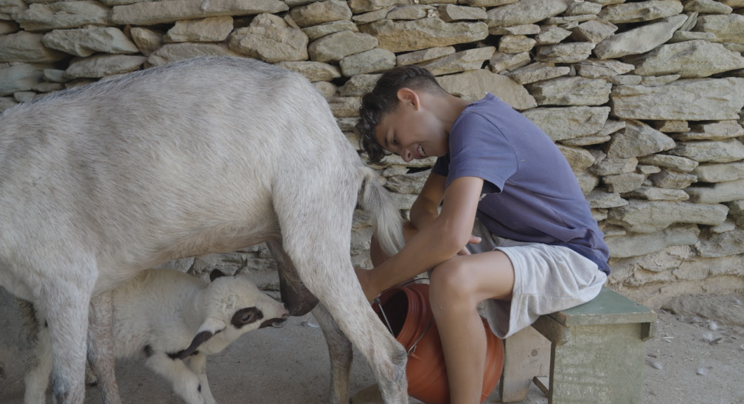 Το κυκλαδίτικο τοπίο μεταμορφώνεται: η περίπτωση της Σίφνου-2