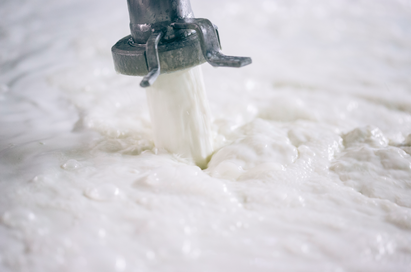 ΔΩΔΩΝΗ: η γεύση που μας μεγάλωσε κάνει πράξη τη βιωσιμότητα-2