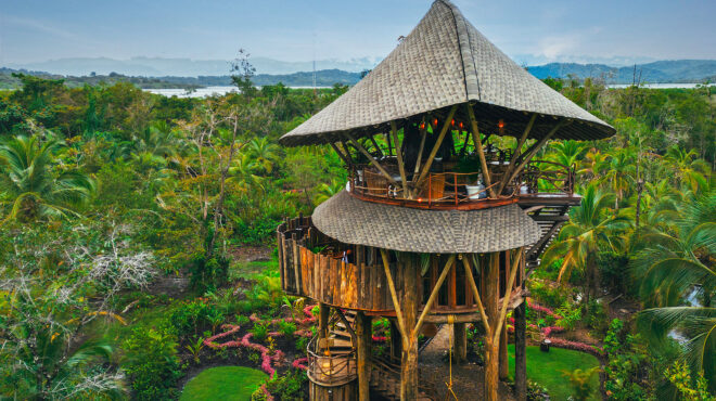 ονειρα-πάνω-από-τα-δέντρα-τα-πιο-εντυπω-563920663