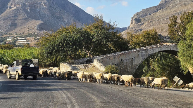 οι-έντιμοι-αγρότες-και-κτηνοτρόφοι-θ-563941660