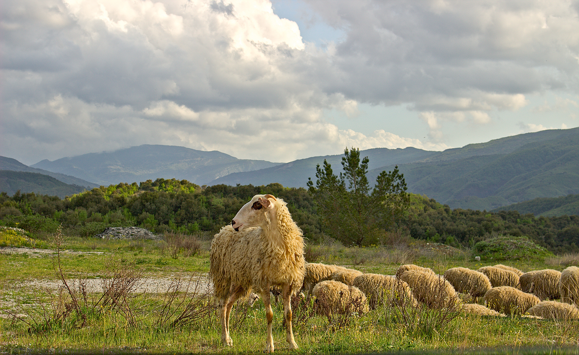 Διαβάστε στην «Καθημερινή της Κυριακής»-4