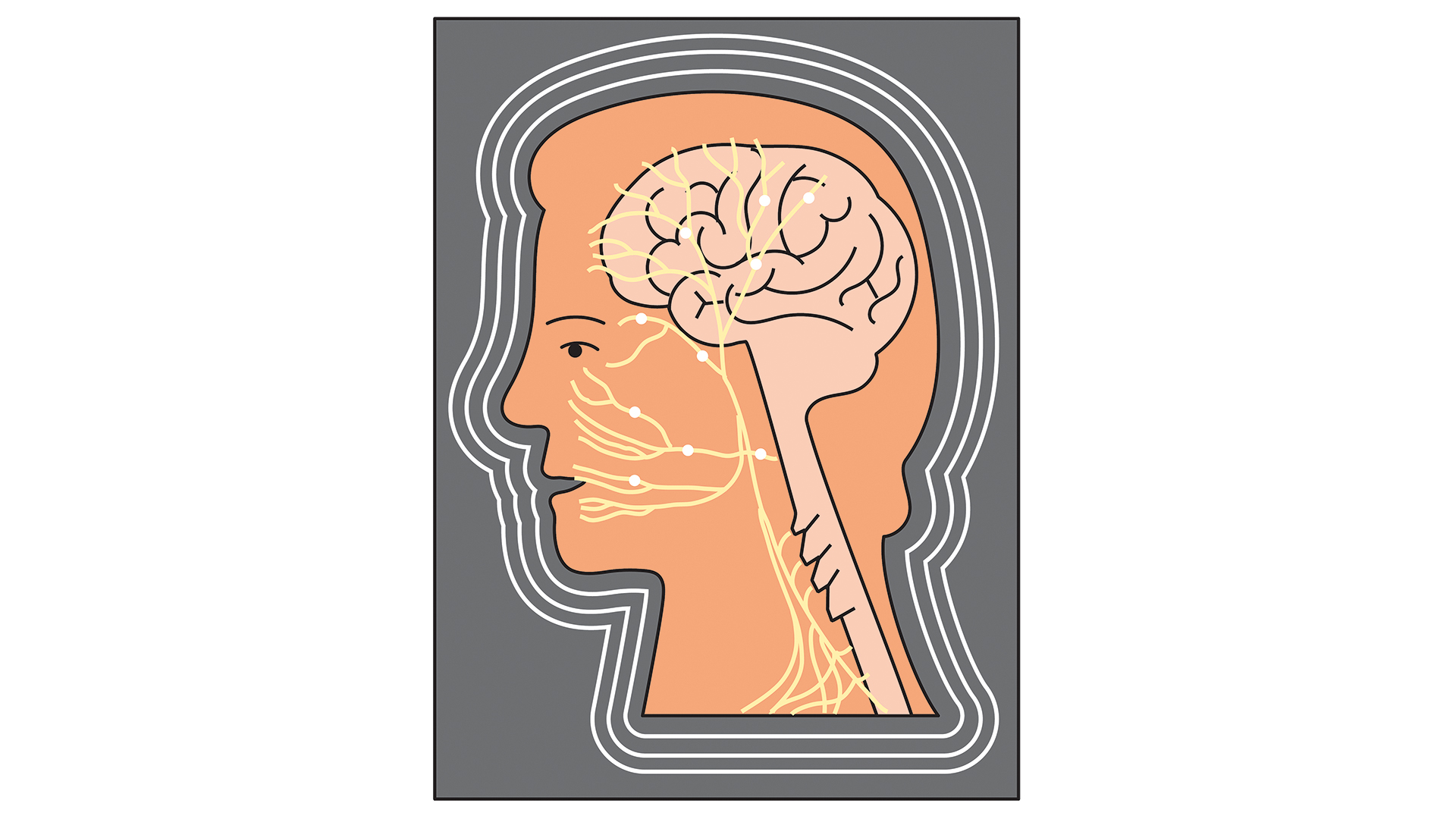 το-άγνωστο-νεύρο-που-υπόσχεται-να-δι-563934076