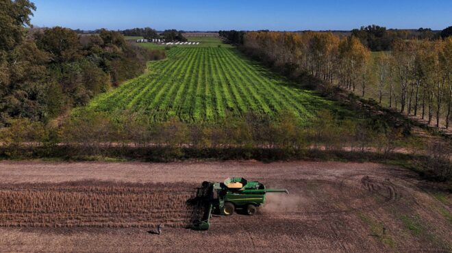 αγροτικές-επιδοτήσεις-σε-αναμονή-για-563906053