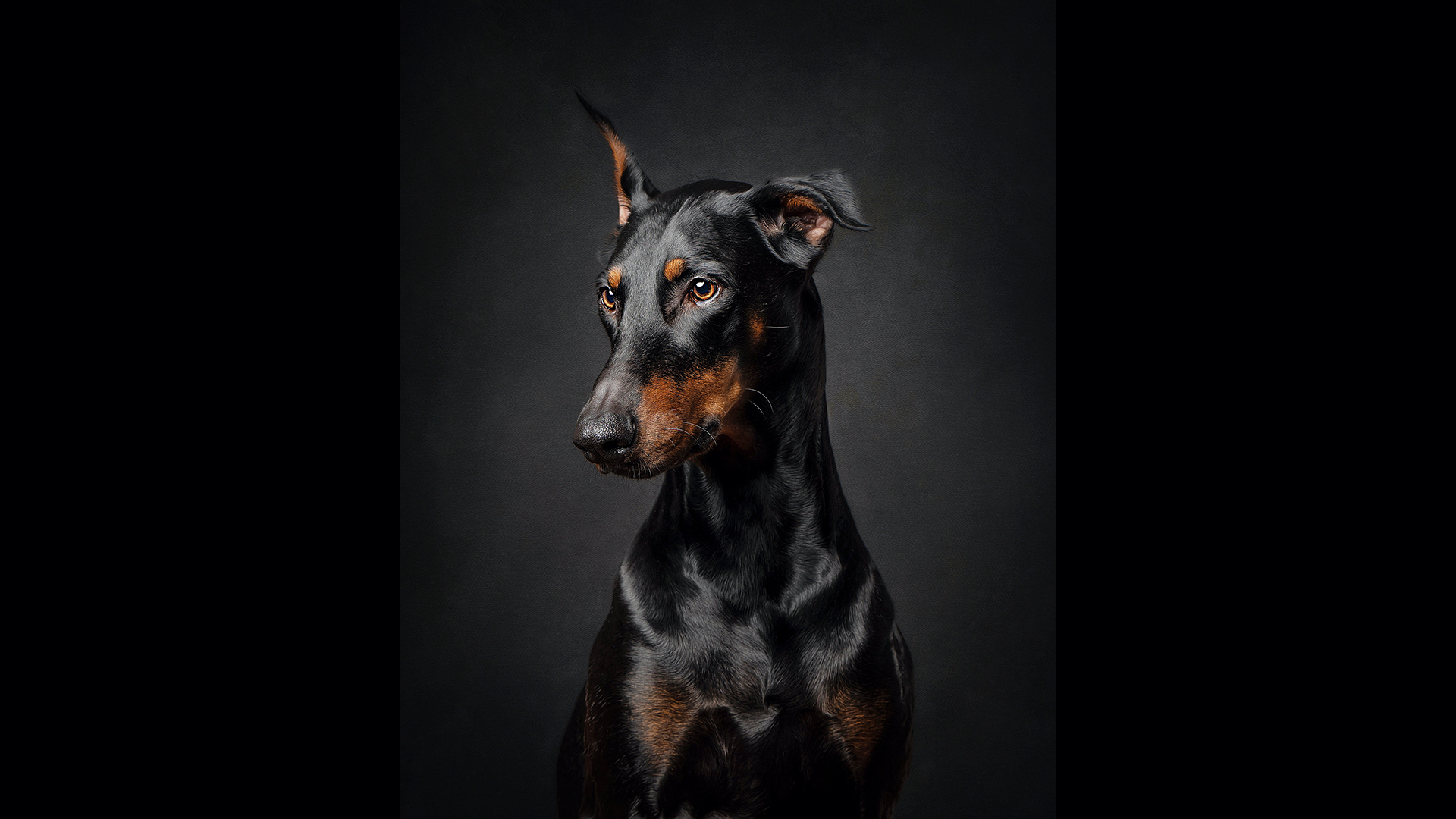 πώς-θα-επιλέξετε-σωστά-τον-επόμενο-σκύ-563931820