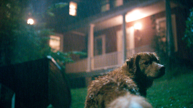 home-cinema-ο-μυστηριώδης-ιός-της-ευτυχίας-563936803