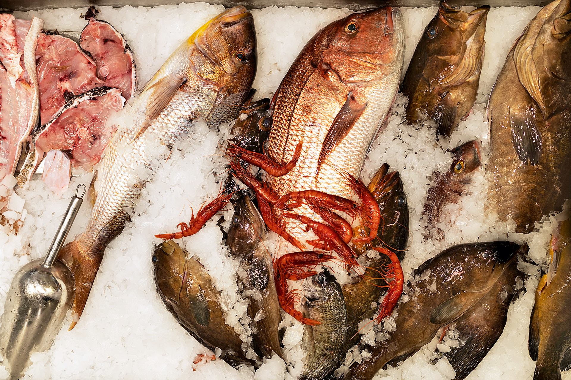 Κορινθία: 4 εστιατόρια που πρέπει -οπωσδήποτε- να επισκεφτείτε-9