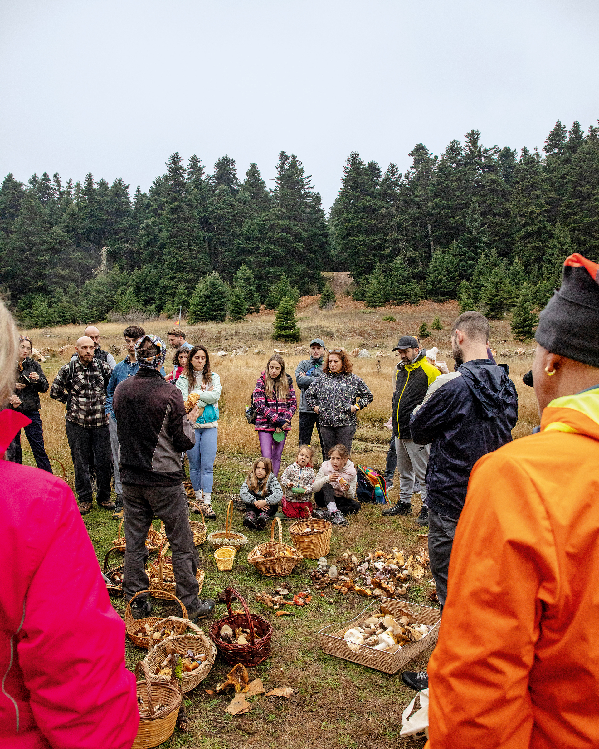 Γίναμε συλλέκτες μανιταριών για μια μέρα-2