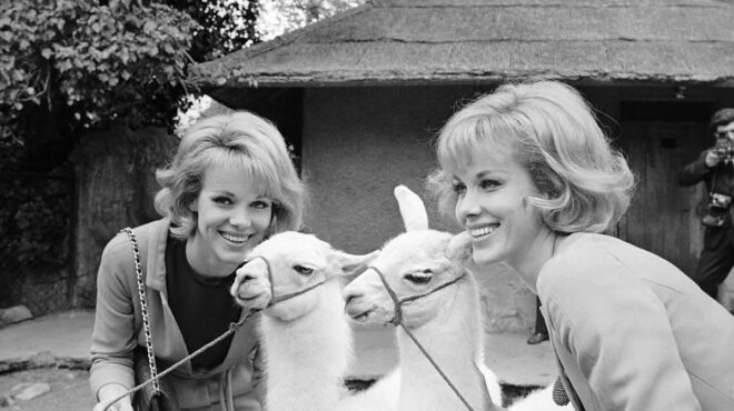 η-ζωή-και-ο-θάνατος-των-αδελφών-κέσλερ-563930371