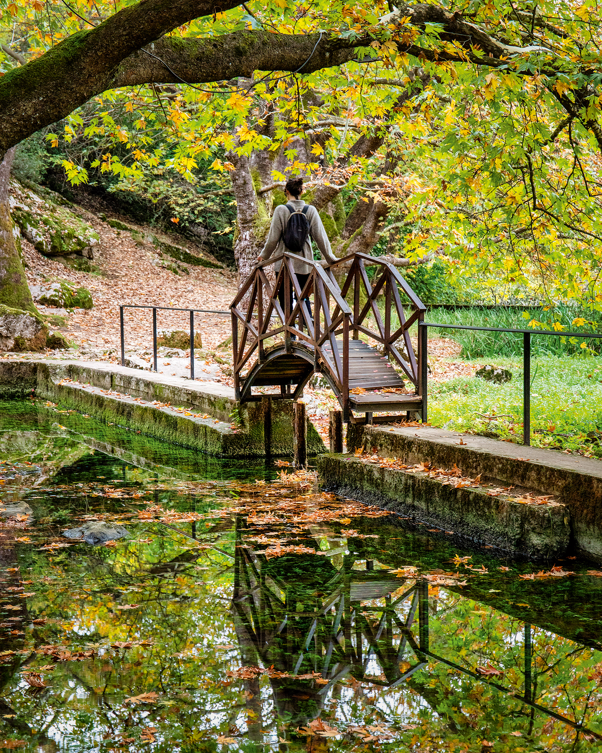 Γίναμε συλλέκτες μανιταριών για μια μέρα-4