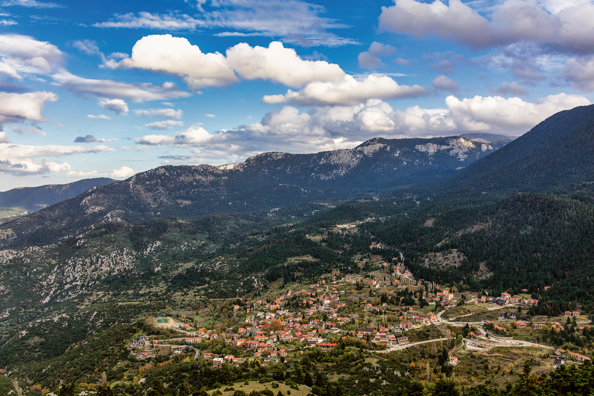 Γίναμε συλλέκτες μανιταριών για μια μέρα-6