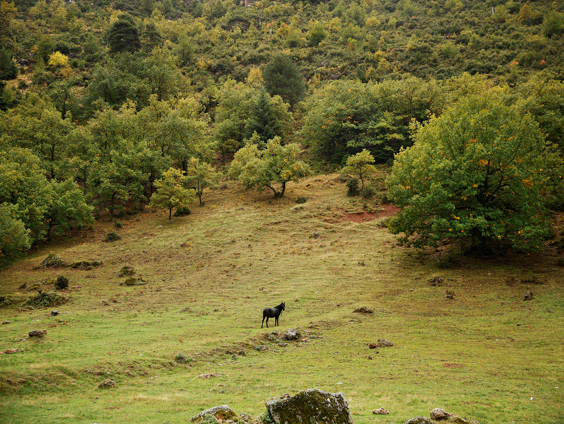 Κορινθία: 4 εστιατόρια που πρέπει -οπωσδήποτε- να επισκεφτείτε-1