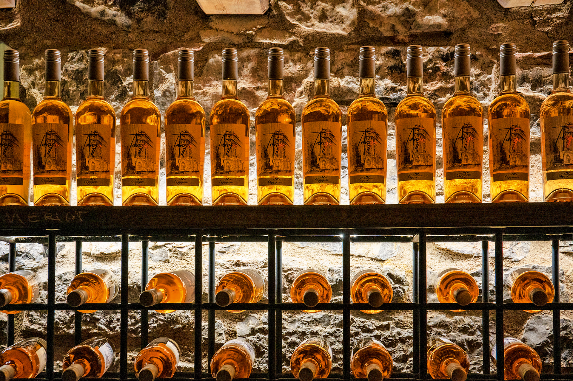 Γίναμε συλλέκτες μανιταριών για μια μέρα-7