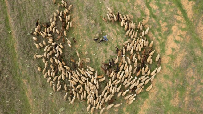 επιδοτήσεις-αγροτών-διασταύρωση-με-ε-563945365