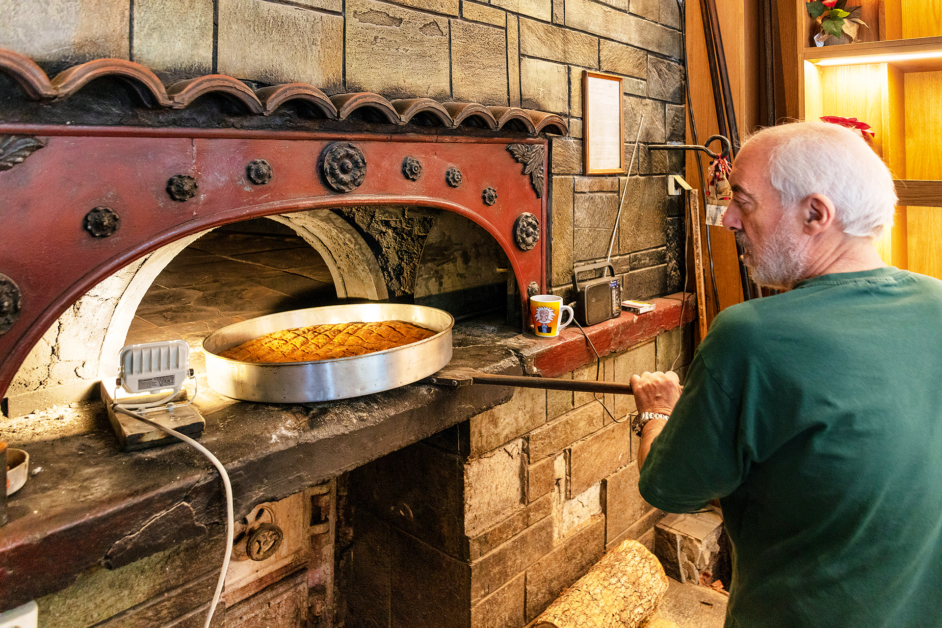 Γίναμε συλλέκτες μανιταριών για μια μέρα-8