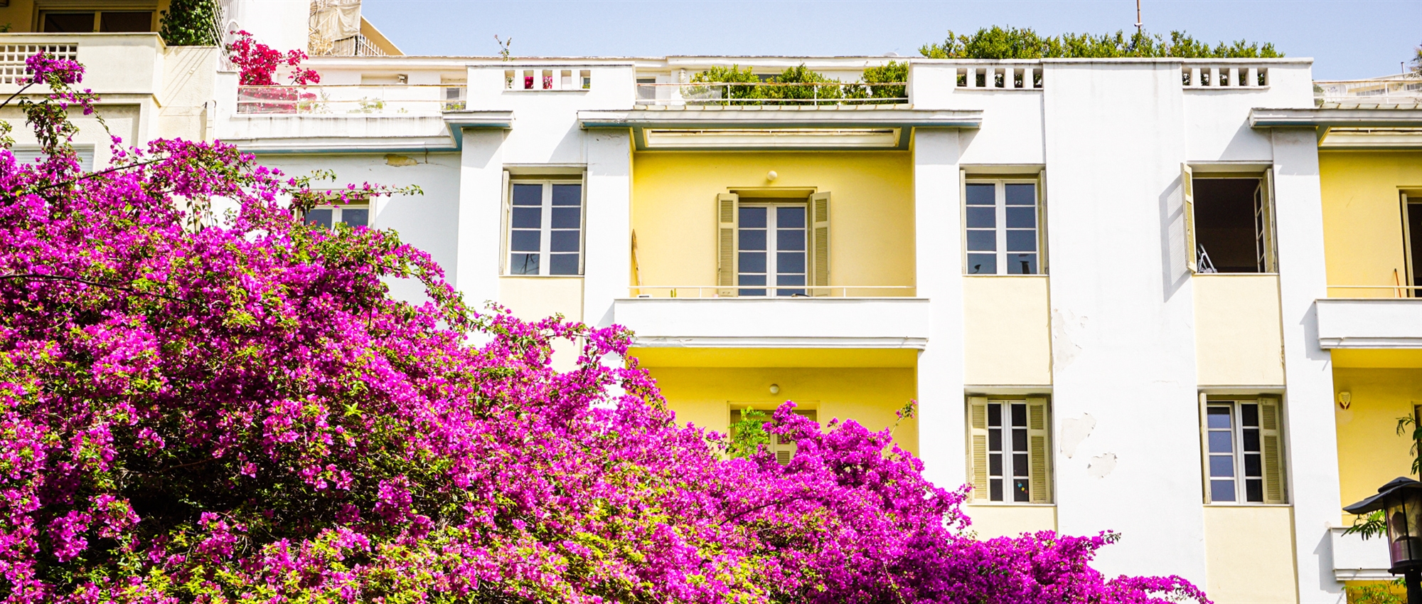 Ενας δρόμος πρώτης προβολής-1