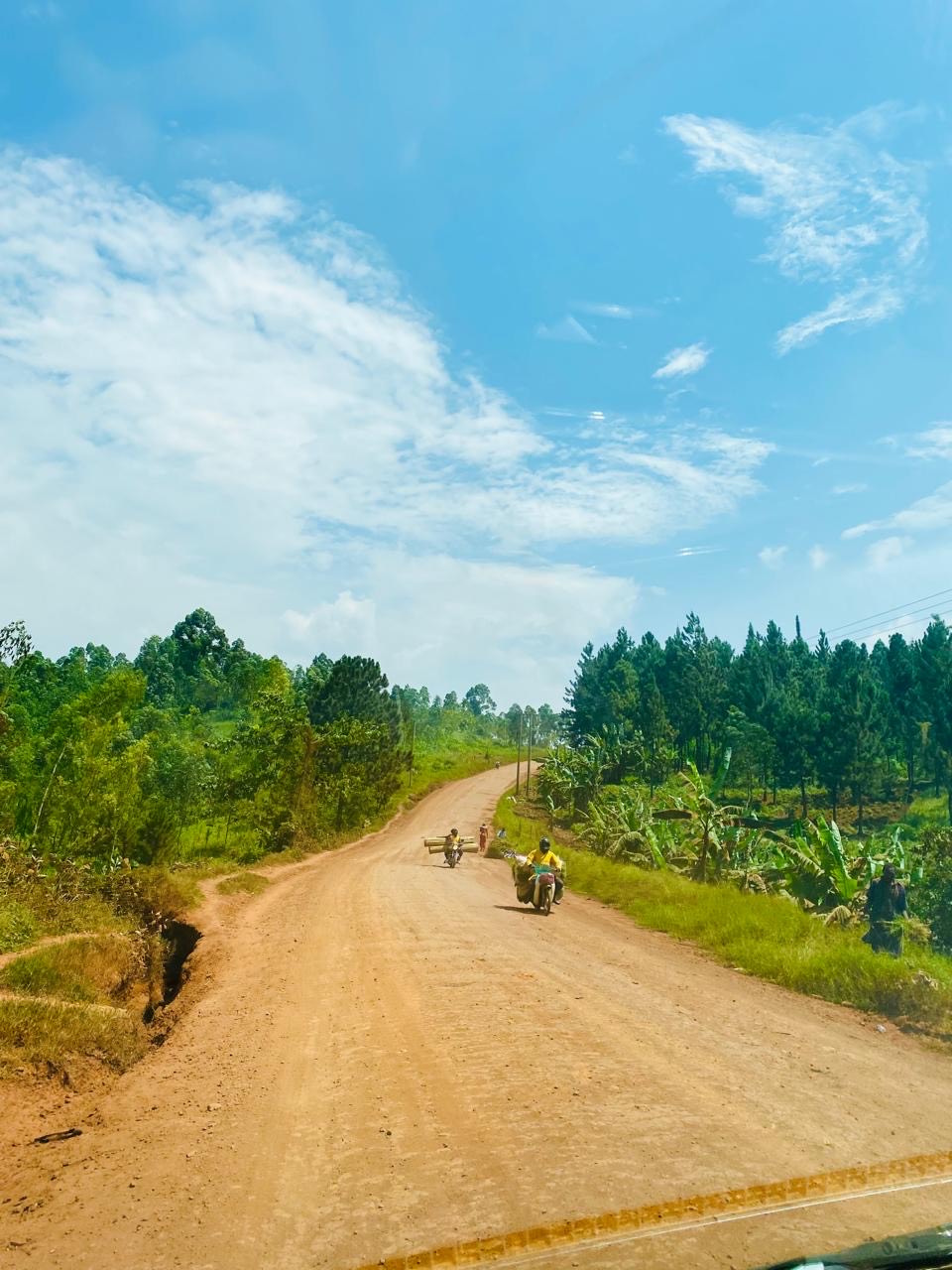 «Το soundtrack της υιοθεσίας του γιου μου»-1
