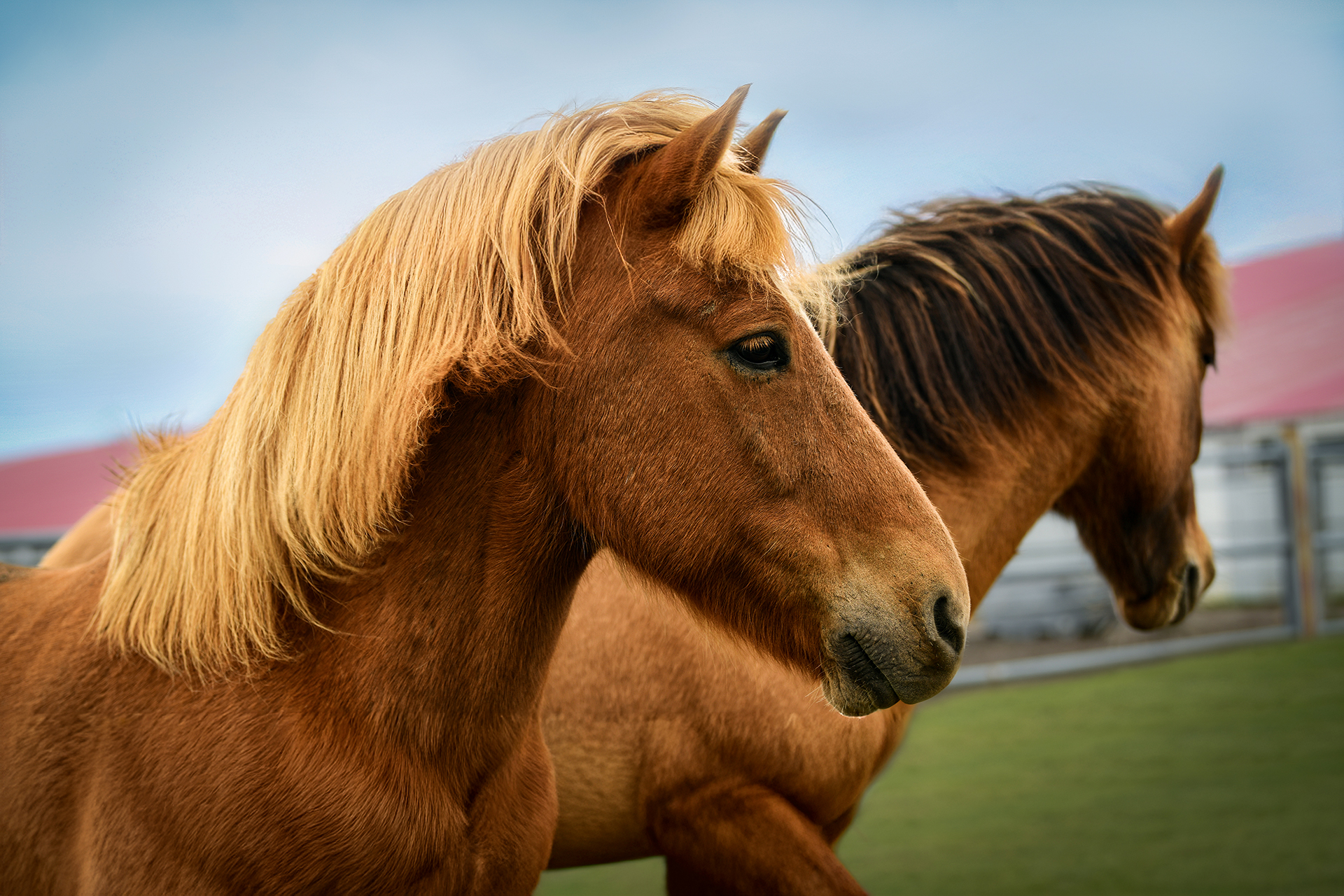 Στους παγετώνες και τα ηφαίστεια της Ισλανδίας-5