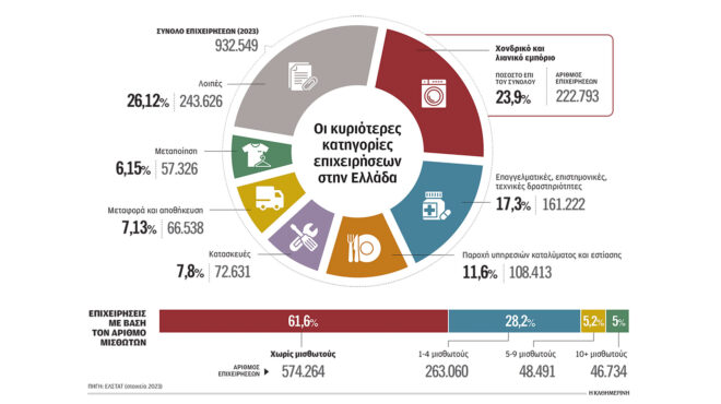 ατομικές-και-χωρίς-υπαλλήλους-οι-επιχ-563898589