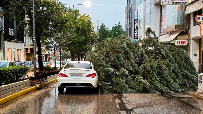 πληγές-από-την-κακοκαιρία-adel-563949016