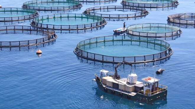 h-avramar-η-συμφωνία-και-η-σφήνα-cooke-563908099