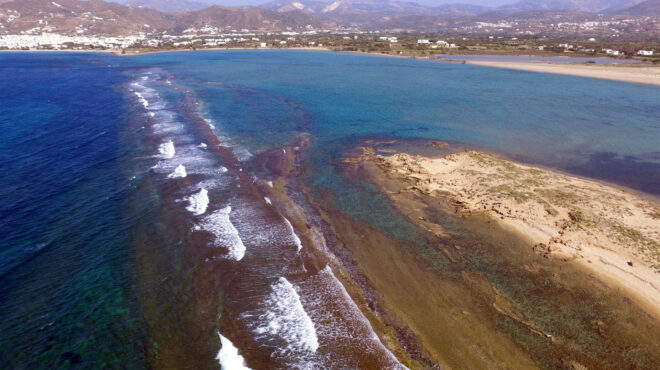 προστασία-των-ακτών-με-τον-τρόπο-της-φύ-563926924