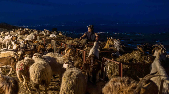 τι-τρώει-ο-τουρίστας-563927284