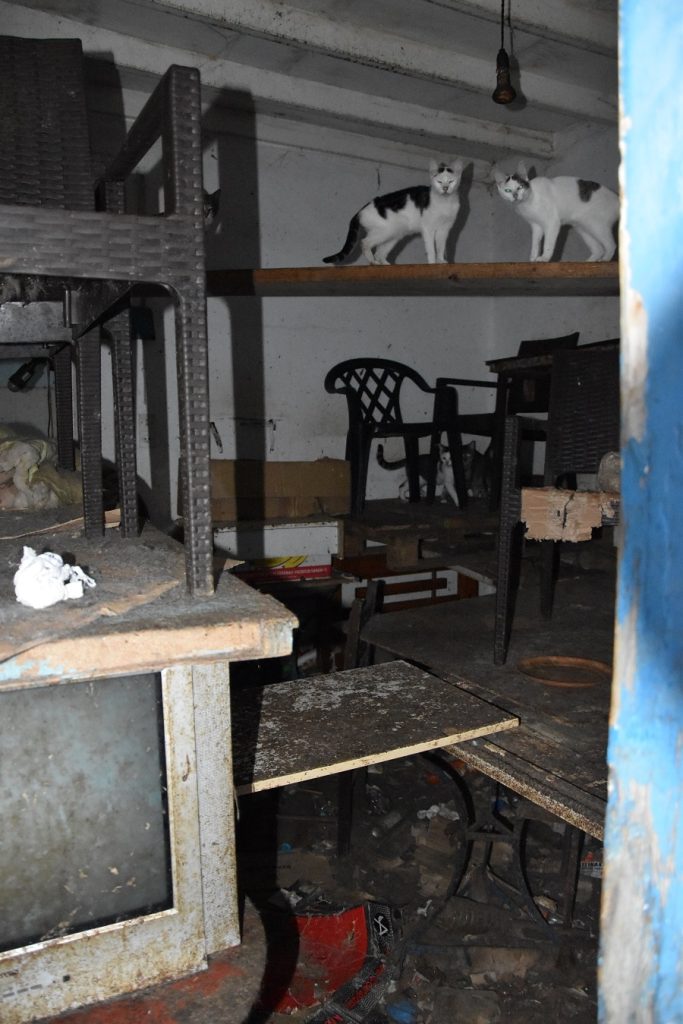 Δονούσα: Πρόστιμο 1,7 εκατ. ευρώ σε 63χρονο για «αιχμαλωσία» ζώων – Συγκλονιστικές εικόνες-1