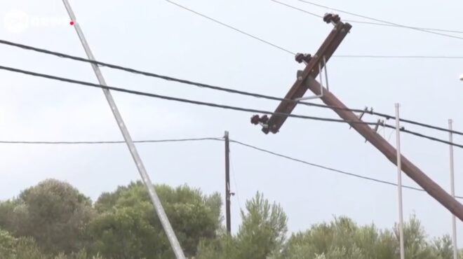 σφοδροί-άνεμοι-στη-φοινικούντα-επεσα-563944375