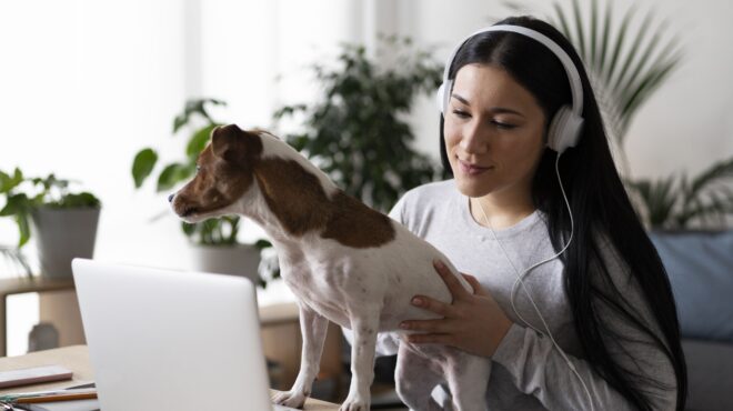 σημαντικό-εργαλείο-προσέλκυσης-και-δ-563918473