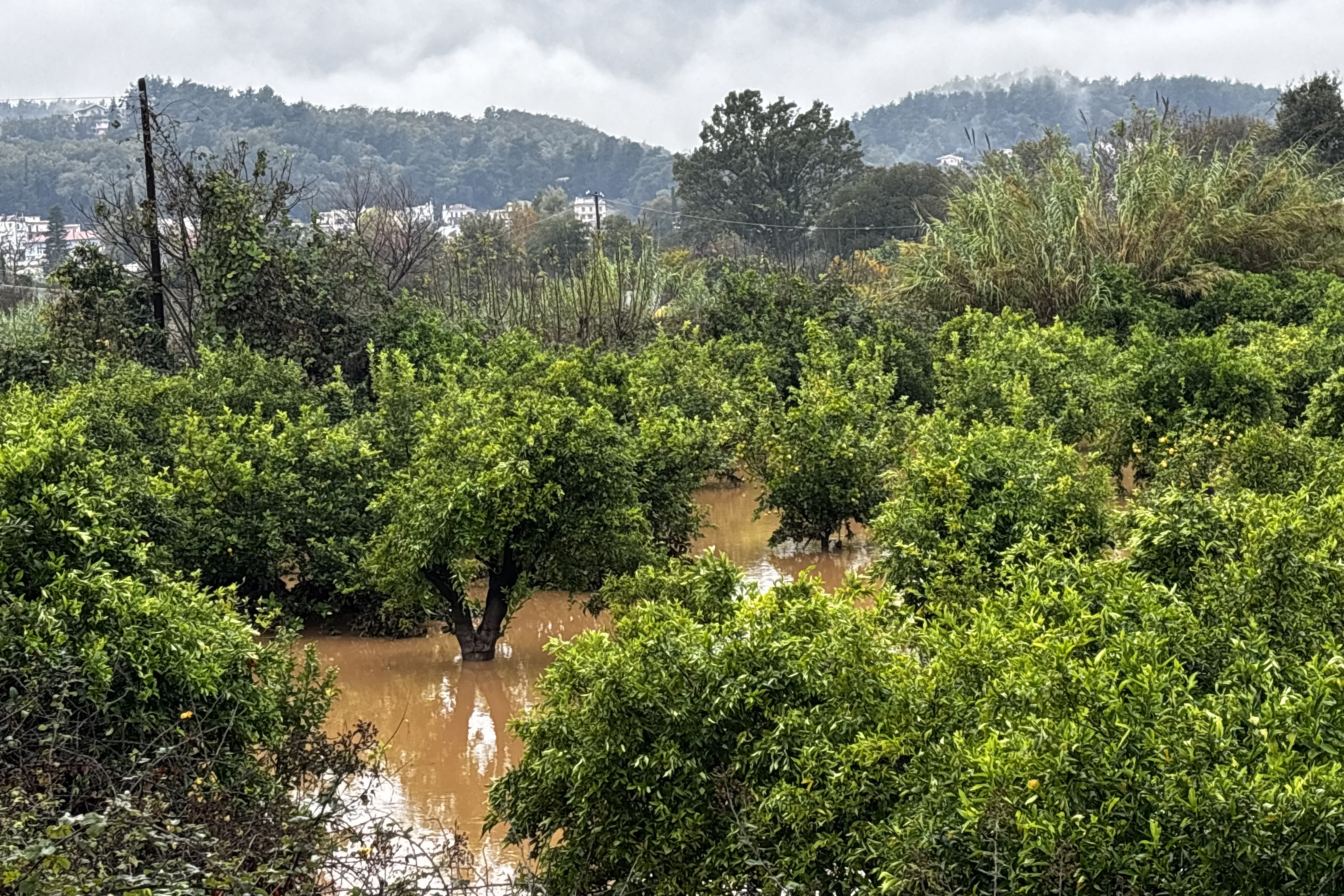 Σε κατάσταση έκτακτης ανάγκης περιοχές σε Ηπειρο και Καστοριά – Σε «συναγερμό» η Κέρκυρα (Εικόνες)-6