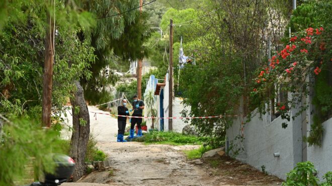 δολοφονία-75χρονης-στη-σαλαμίνα-επαιζ-563940385