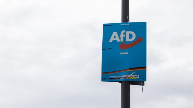 αντιπροσωπεία-της-afd-στη-ρωσία-563913082