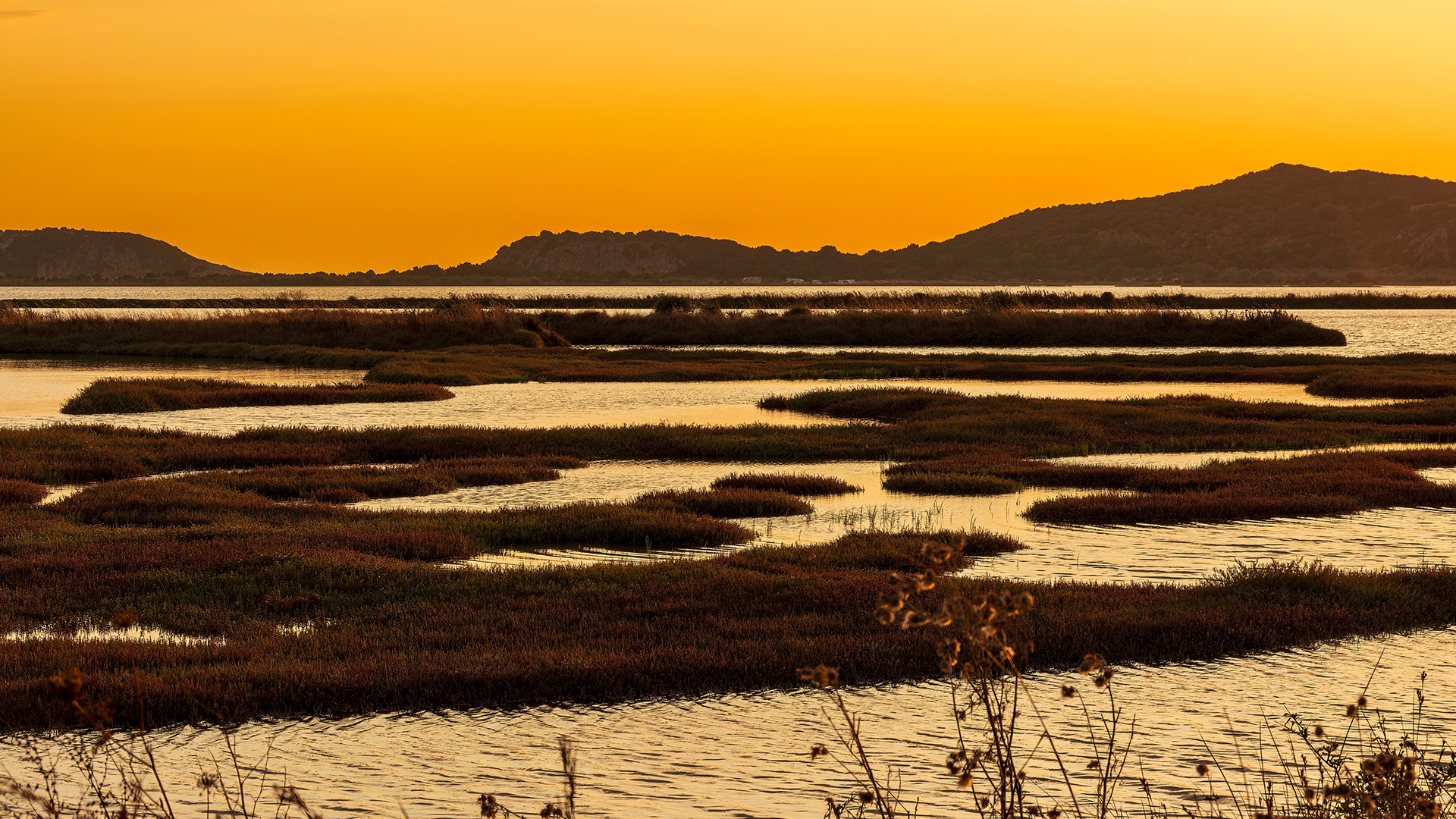 Condé Nast Traveler: Η Πελοπόννησος στους κορυφαίους προορισμούς για το 2026-1